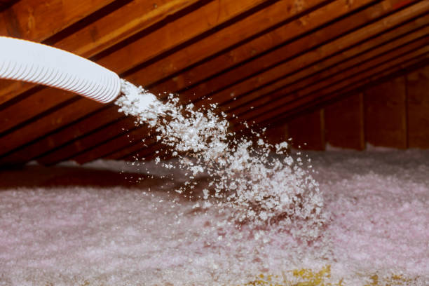 Best Local Insulation Services  in Lorado City, CO