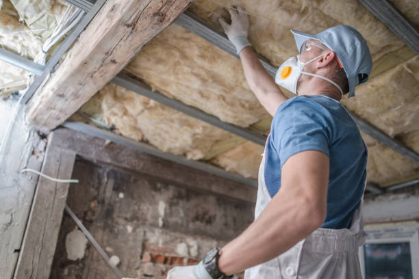 Best Affordable Insulation Services  in Lorado City, CO