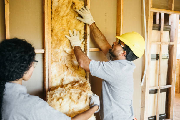 Best Insulation Contractor Near Me  in Lorado City, CO