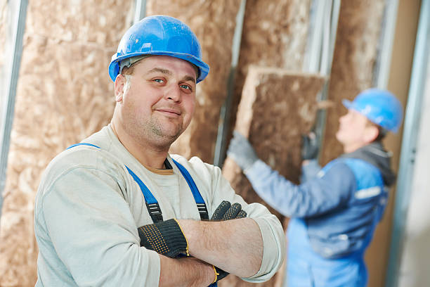 Best Attic Insulation Installation  in Lorado City, CO