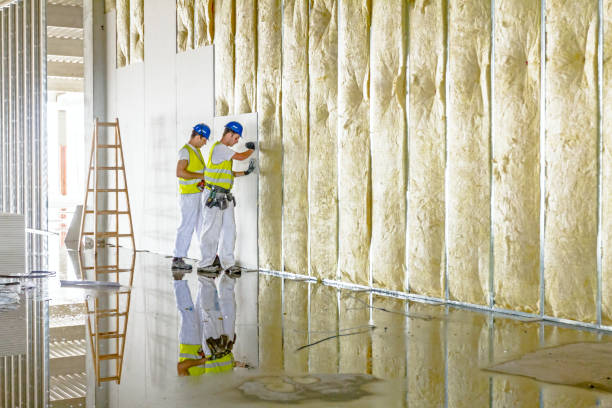 Best Insulation Repair Services  in Lorado City, CO